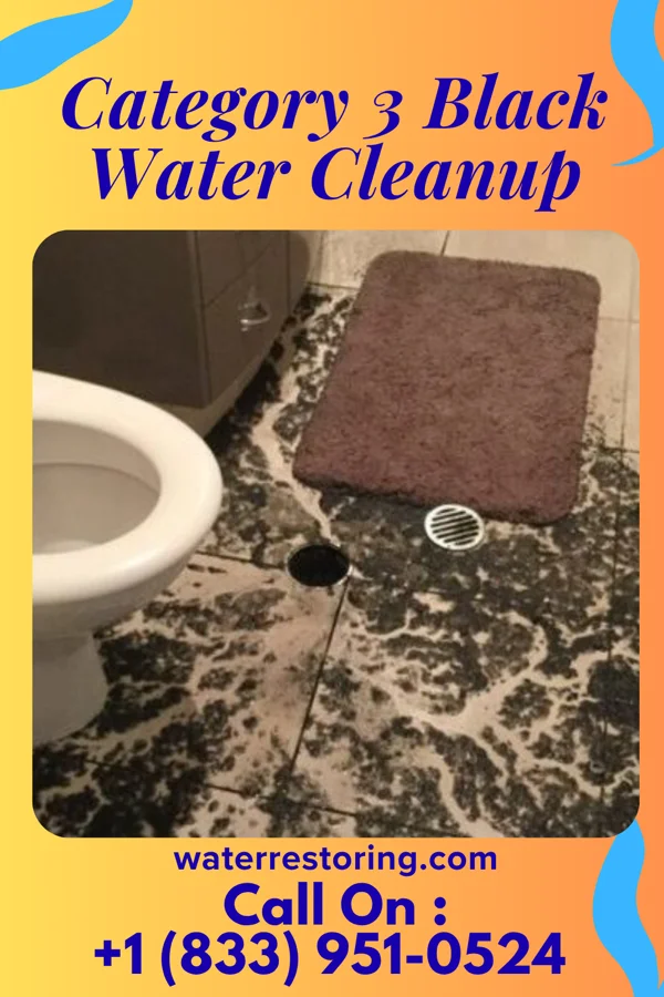 Category 3 Black Water Cleanup in Gulf Port, IL